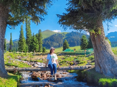 仲夏伊犁草原花海7日