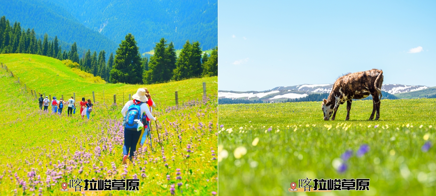 唐布拉孟克特.jpg